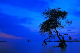 blue hour sumare 