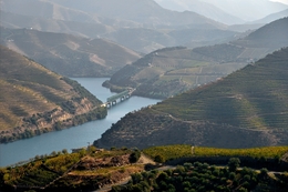 O Douro 