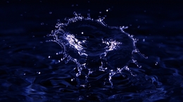 Photography with water. 