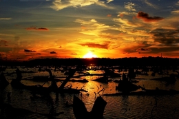 Sunset Of Central Borneo 