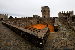 CASTELO DAS CINCO QUINAS 