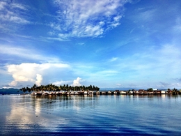 Banggai Island 