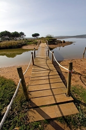 Lagoa de Óbidos - Ponte (take 2) 