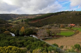 RIO MONDEGO NO COVÃO DA PONTE 