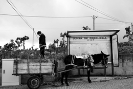 Nunca mais vem o autocarro! 