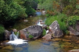 Verdes do Gerês 