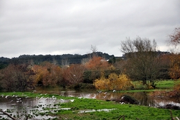 A Saudação da Natureza 