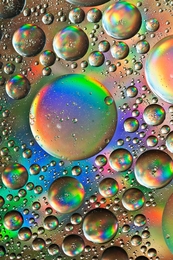 The Bubble's 