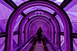 Purple Escalator 