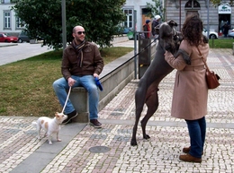 Mamã tenho medo 