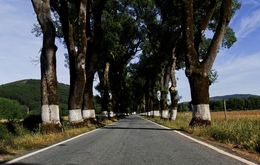 CAMINHOS DO INTERIOR DE PORTUGAL 