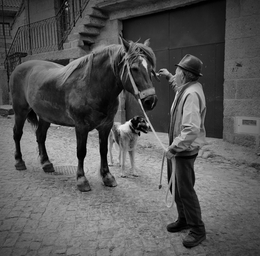 O homem, o cavalo e o cão 