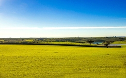 Alentejo 