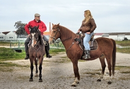 Cavalos e cavaleiros 