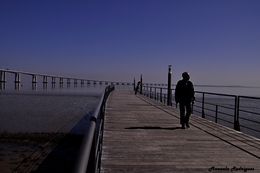 Ponte Vasco da Gama 