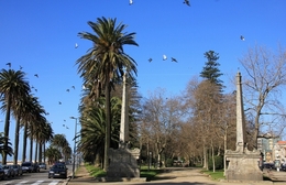 Jardim do Passeio Alegre 