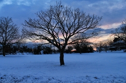 Pôr-do-Sol após uma nevada 