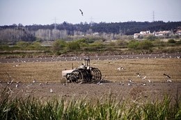 Hora de preparar os campos! 