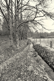 Caminho de água 