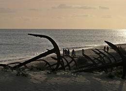 Na praia das âncoras 