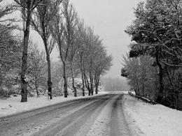 Nevadas 