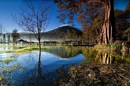 Morning Tamblingan Lake 