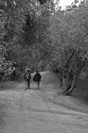 Passeio pelo campo 