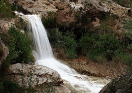 Cascada 