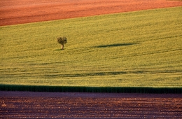 Alentejo Colors  