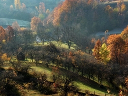 Hidden house 