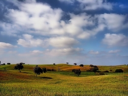 Alentejo da minh'alma 