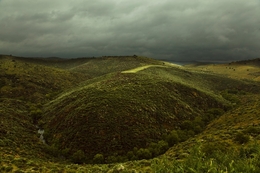 RIO CÔA - REGIÃO DE PINHEL 