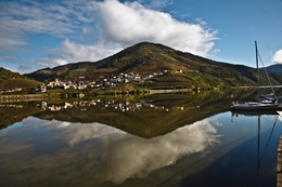 DOURO - FOLGOSA CONTEMPLA COVELINHAS 