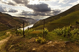 O DOURO EM CONTRALUZ 