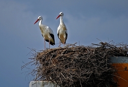 Sentinelas do Alentejo 