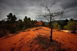 French Colorado 