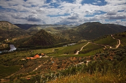 DOURO INTERNACIONAL 