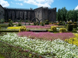 Flores com História 