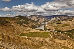 ERVEDOSA DO DOURO 