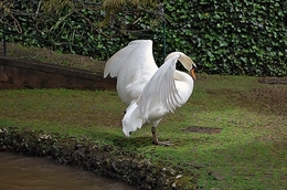 Saída do banho 