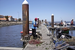 Pescadores da Costa Nova 