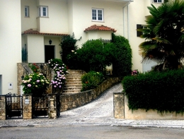 DES MAISONS AMANTES DE LA NATURE 