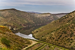 NA FOZ DO RIO CÔA_ 