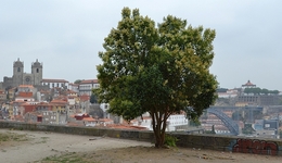 Miradouro da Victoria  