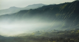 Misty Valley 