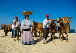 Vareira de ESPINHO 