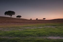 Alentejo 