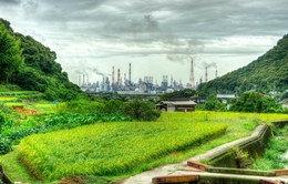 Complex and rice terraces 