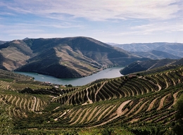 Douro vinhateiro 