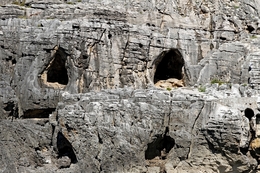 Peniche - A Caveira, na falesia sul 